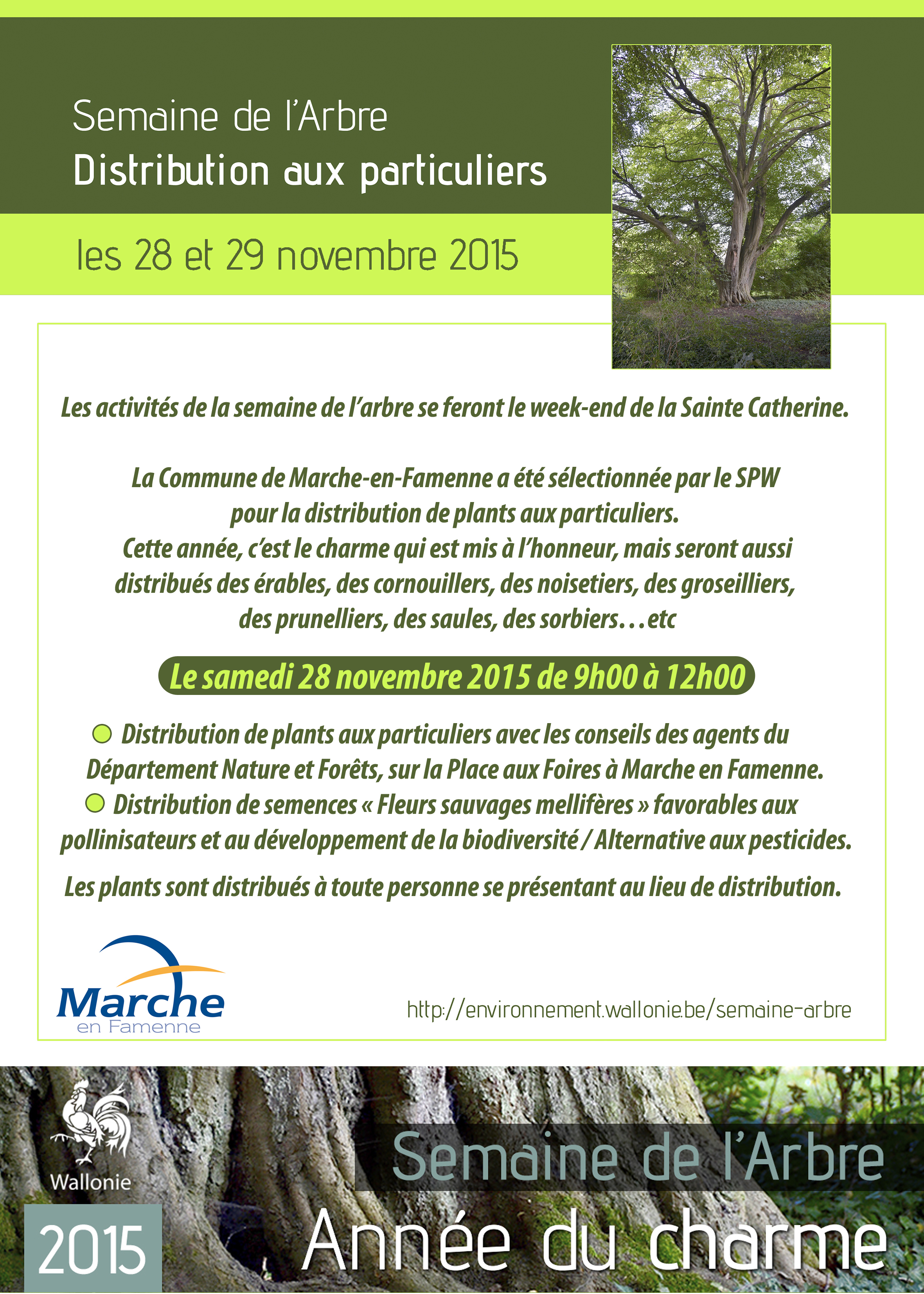 rencontres marche-en-famenne